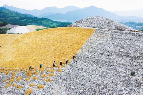 燎草在线视频,探索自然之美，感受生命力量